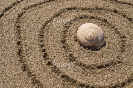 Fair Trade Photo Beach, Closeup, Colour image, Horizontal, Peru, Sand, Shell, South America, Spirituality, Wellness