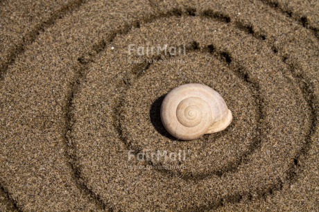 Fair Trade Photo Beach, Closeup, Colour image, Horizontal, Peru, Sand, Shell, South America, Spirituality, Wellness