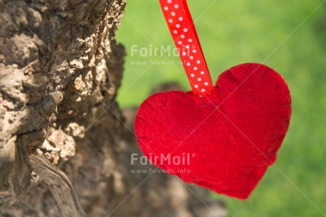 Fair Trade Photo Closeup, Colour image, Green, Heart, Horizontal, Love, Mothers day, Peru, Red, South America, Tree, Valentines day