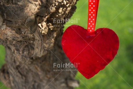 Fair Trade Photo Closeup, Colour image, Green, Heart, Horizontal, Love, Mothers day, Peru, Red, South America, Tree, Valentines day