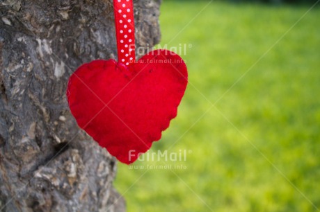 Fair Trade Photo Closeup, Colour image, Green, Heart, Horizontal, Love, Mothers day, Peru, Red, South America, Tree, Valentines day