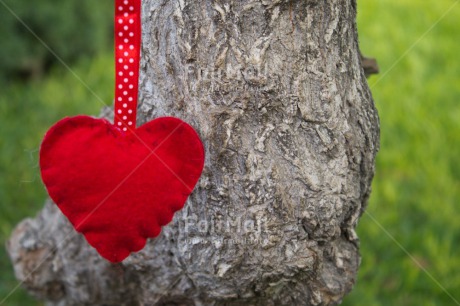 Fair Trade Photo Closeup, Colour image, Green, Heart, Horizontal, Love, Mothers day, Peru, Red, South America, Tree, Valentines day