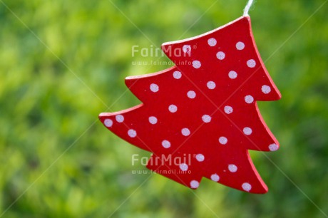 Fair Trade Photo Christmas, Closeup, Colour image, Green, Horizontal, Peru, Red, South America, Tree, White