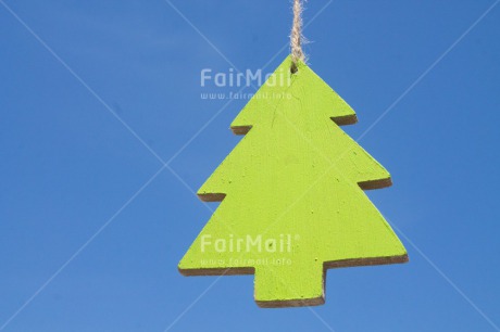 Fair Trade Photo Christmas, Colour image, Horizontal, Peru, Sky, South America, Tree