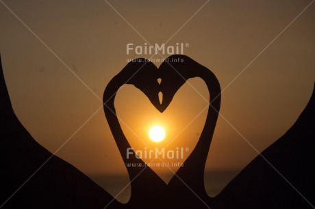 Fair Trade Photo Colour image, Heart, Horizontal, Love, Marriage, Peru, South America, Sunset, Swan, Valentines day, Wedding