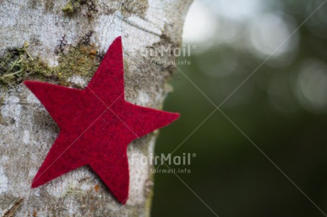 Fair Trade Photo Christmas, Closeup, Colour image, Horizontal, Peru, Red, Shooting style, South America, Star