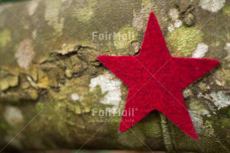 Fair Trade Photo Christmas, Closeup, Colour image, Horizontal, Peru, Red, Shooting style, South America, Star