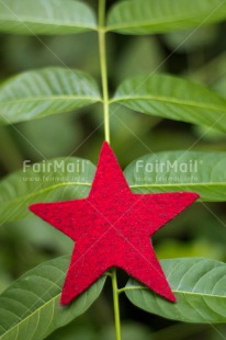 Fair Trade Photo Christmas, Closeup, Colour image, Peru, Red, Shooting style, South America, Star, Vertical