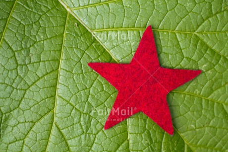 Fair Trade Photo Christmas, Closeup, Colour image, Horizontal, Peru, Red, Shooting style, South America, Star