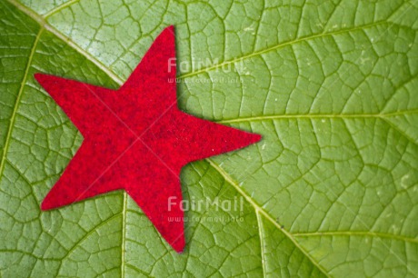 Fair Trade Photo Christmas, Closeup, Colour image, Horizontal, Peru, Red, Shooting style, South America, Star