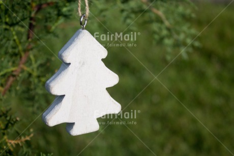 Fair Trade Photo Christmas, Closeup, Colour image, Horizontal, Peru, Shooting style, South America, Tree, White