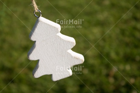 Fair Trade Photo Christmas, Closeup, Colour image, Horizontal, Peru, Shooting style, South America, Tree, White