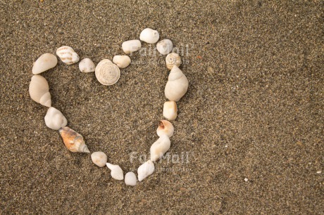 Fair Trade Photo Beach, Closeup, Colour image, Heart, Horizontal, Love, Marriage, Peru, Sand, Shell, Shooting style, South America, Summer, Valentines day, Wedding