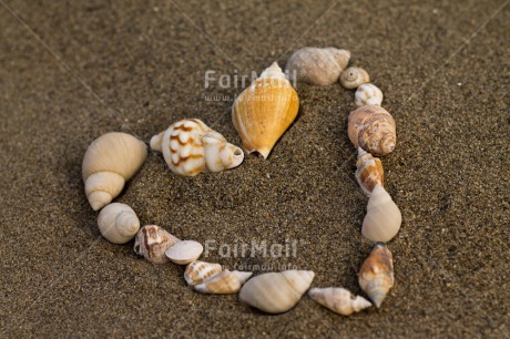 Fair Trade Photo Beach, Closeup, Colour image, Heart, Horizontal, Love, Marriage, Peru, Sand, Shell, Shooting style, South America, Summer, Valentines day, Wedding