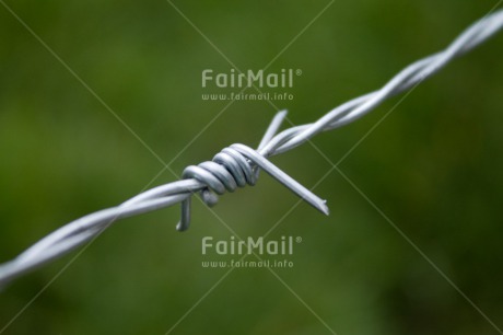 Fair Trade Photo Barbwire, Closeup, Colour image, Green, Horizontal, Peru, Safety, Shooting style, South America