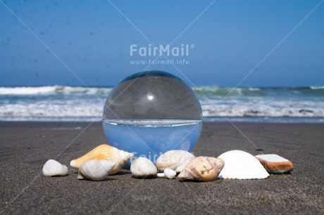 Fair Trade Photo Artistique, Beach, Colour image, Freedom, Horizontal, Peru, Sea, Shell, South America, Summer, Transparent, Water, Wellness