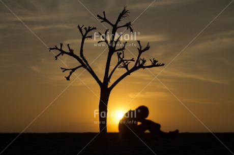 Fair Trade Photo Colour image, Emotions, Evening, Horizontal, Loneliness, Miss you, One boy, Outdoor, People, Peru, Shooting style, Silhouette, South America, Sunset, Thinking, Thinking of you, Tree