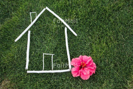 Fair Trade Photo Colour image, Grass, Horizontal, New home, Peru, South America, Welcome home