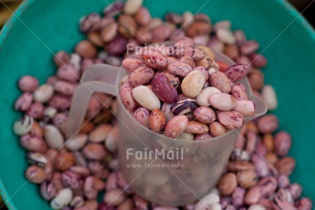 Fair Trade Photo Bean, Colour image, Entrepreneurship, Ethnic-folklore, Food and alimentation, Health, Horizontal, Market, Peru, South America