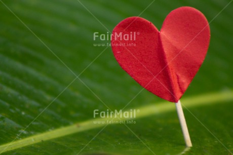 Fair Trade Photo Colour image, Heart, Horizontal, Love, Marriage, Wedding