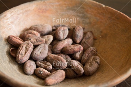 Fair Trade Photo Agriculture, Cacao, Chocolate, Colour image, Fair trade, Food and alimentation, Horizontal, Peru, South America