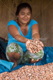 Fair Trade Photo Activity, Agriculture, Cacao, Chocolate, Colour image, Fair trade, Farmer, Food and alimentation, Looking away, One woman, People, Peru, Portrait fullbody, South America, Vertical