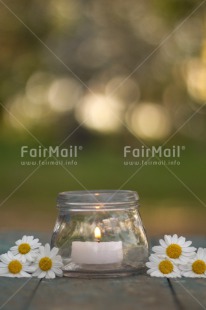 Fair Trade Photo Candle, Christmas, Condolence-Sympathy, Flame, Flower, Peru, South America, Spirituality, Thinking of you, Vertical, Wellness, White