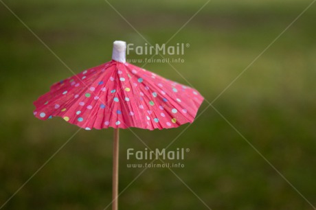 Fair Trade Photo Birthday, Closeup, Colour image, Grass, Green, Horizontal, Invitation, Party, Peru, Shooting style, South America, Umbrella