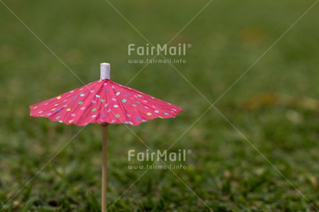 Fair Trade Photo Birthday, Closeup, Colour image, Grass, Green, Horizontal, Invitation, Party, Peru, Shooting style, South America, Umbrella