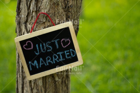 Fair Trade Photo Colour image, Heart, Horizontal, Marriage, Peru, South America, Tree, Wedding