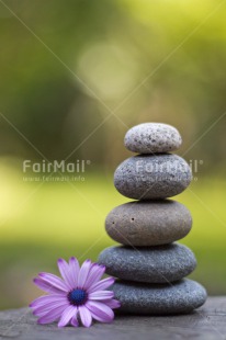 Fair Trade Photo Balance, Colour image, Condolence-Sympathy, Flower, Health, Nature, Peru, South America, Spirituality, Stone, Thinking of you, Vertical, Wellness