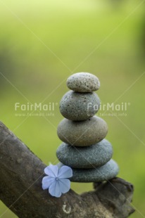 Fair Trade Photo Balance, Colour image, Condolence-Sympathy, Flower, Health, Nature, Peru, South America, Spirituality, Stone, Thinking of you, Vertical, Wellness