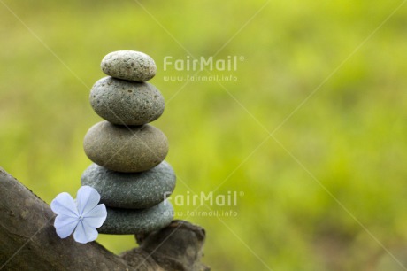 Fair Trade Photo Balance, Colour image, Condolence-Sympathy, Flower, Health, Horizontal, Nature, Peru, South America, Spirituality, Stone, Thinking of you, Wellness