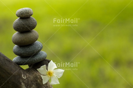 Fair Trade Photo Balance, Colour image, Condolence-Sympathy, Flower, Health, Horizontal, Nature, Peru, South America, Spirituality, Stone, Thinking of you, Wellness