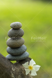 Fair Trade Photo Balance, Colour image, Condolence-Sympathy, Flower, Health, Nature, Peru, South America, Spirituality, Stone, Thinking of you, Vertical, Wellness