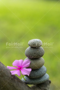 Fair Trade Photo Balance, Colour image, Condolence-Sympathy, Flower, Health, Nature, Peru, South America, Spirituality, Stone, Thinking of you, Vertical, Wellness