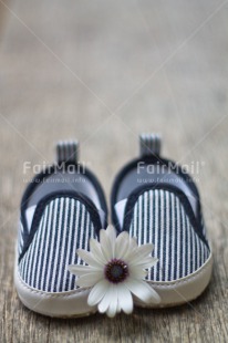 Fair Trade Photo Birth, Colour image, New baby, Peru, Shoe, South America, Vertical