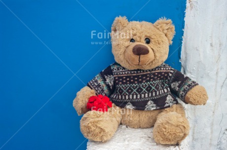 Fair Trade Photo Colour image, Flower, Friendship, Horizontal, Peru, South America, Teddybear, Valentines day