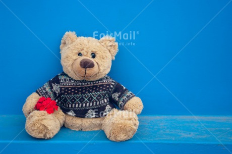 Fair Trade Photo Colour image, Flower, Friendship, Horizontal, Peru, South America, Teddybear, Valentines day