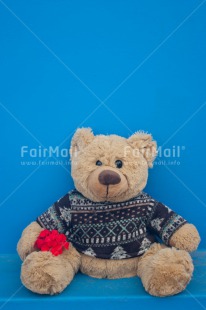 Fair Trade Photo Colour image, Flower, Friendship, Peru, South America, Teddybear, Valentines day, Vertical