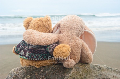 Fair Trade Photo Animals, Colour image, Cute, Friendship, Horizontal, Peru, Rabbit, South America, Teddybear, Together