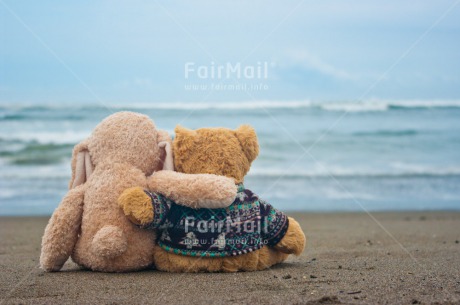 Fair Trade Photo Animals, Colour image, Cute, Friendship, Horizontal, Peru, Rabbit, South America, Teddybear, Together