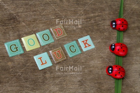 Fair Trade Photo Colour image, Exams, Good luck, Horizontal, Ladybug, Peru, South America