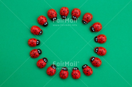 Fair Trade Photo Colour image, Exams, Good luck, Green, Horizontal, Ladybug, Peru, Red, South America