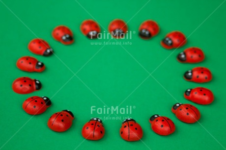 Fair Trade Photo Colour image, Exams, Good luck, Green, Horizontal, Ladybug, Peru, Red, South America