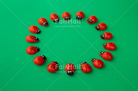 Fair Trade Photo Colour image, Exams, Good luck, Green, Horizontal, Ladybug, Peru, Red, South America