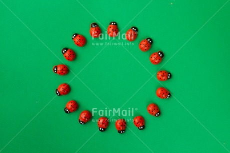 Fair Trade Photo Colour image, Exams, Good luck, Green, Horizontal, Ladybug, Peru, Red, South America