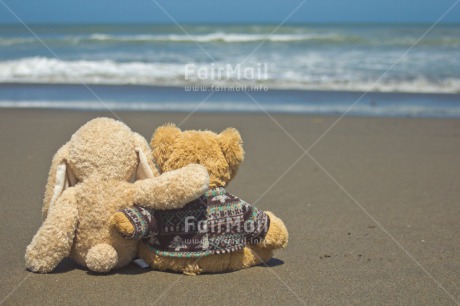 Fair Trade Photo Activity, Colour image, Cute, Friendship, Holiday, Horizontal, Outdoor, Peru, Relaxing, Sea, South America, Summer, Teddybear, Thinking of you