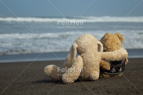 Fair Trade Photo Animals, Beach, Colour image, Cute, Friendship, Horizontal, Love, Peru, Rabbit, Sea, South America, Sunset, Teddybear, Valentines day