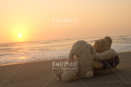 Fair Trade Photo Animals, Beach, Colour image, Cute, Friendship, Horizontal, Love, Peru, Rabbit, Sea, South America, Sunset, Teddybear, Valentines day